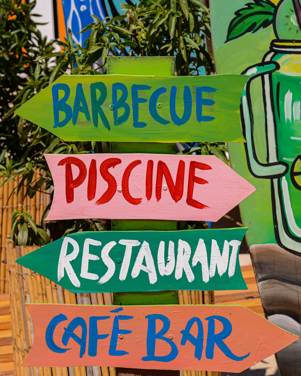 DSC_5353 copie